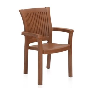 Plastic Moulded Chair With Arm Rest