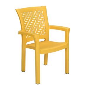 Plastic Moulded Chair With Arm Rest