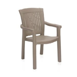 Plastic Moulded Chair With Arm Rest
