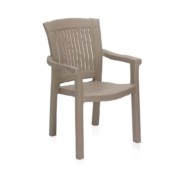 Plastic Moulded Chair With Arm Rest