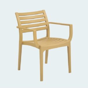 Plastic Moulded Chair With Arm Rest