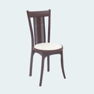 Plastic Moulded Chair Without Arm Rest