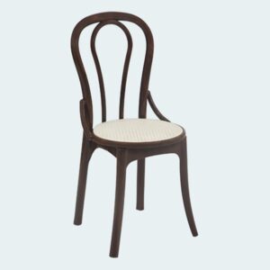 Plastic Moulded Chair Without Arm Rest