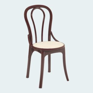 Plastic Moulded Chair Without Arm Rest